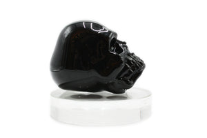 Skull paperweight - various colors