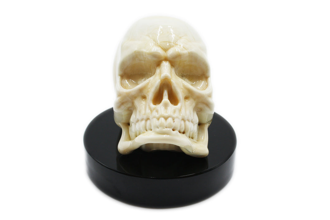 Skull paperweight - various colors