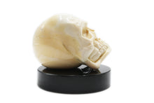 Load image into Gallery viewer, Skull paperweight - various colors
