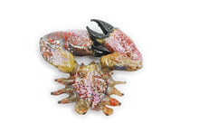 Load image into Gallery viewer, Small crab
