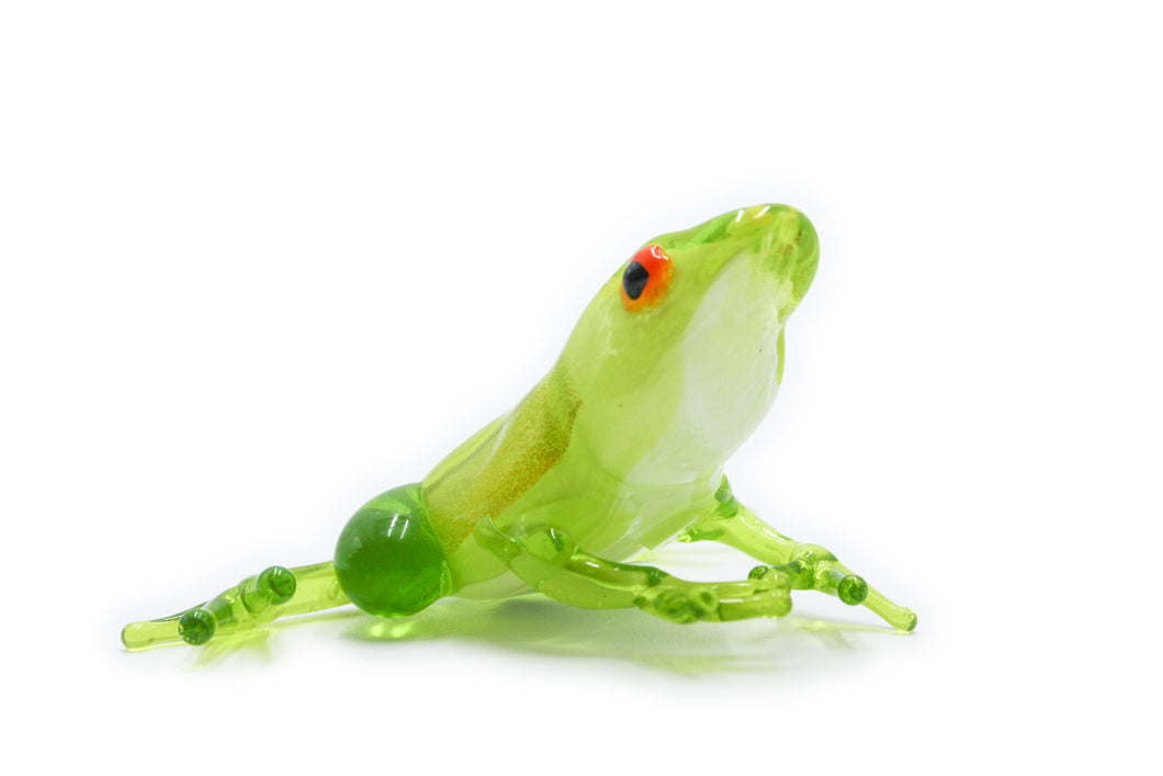 Small acid green frog