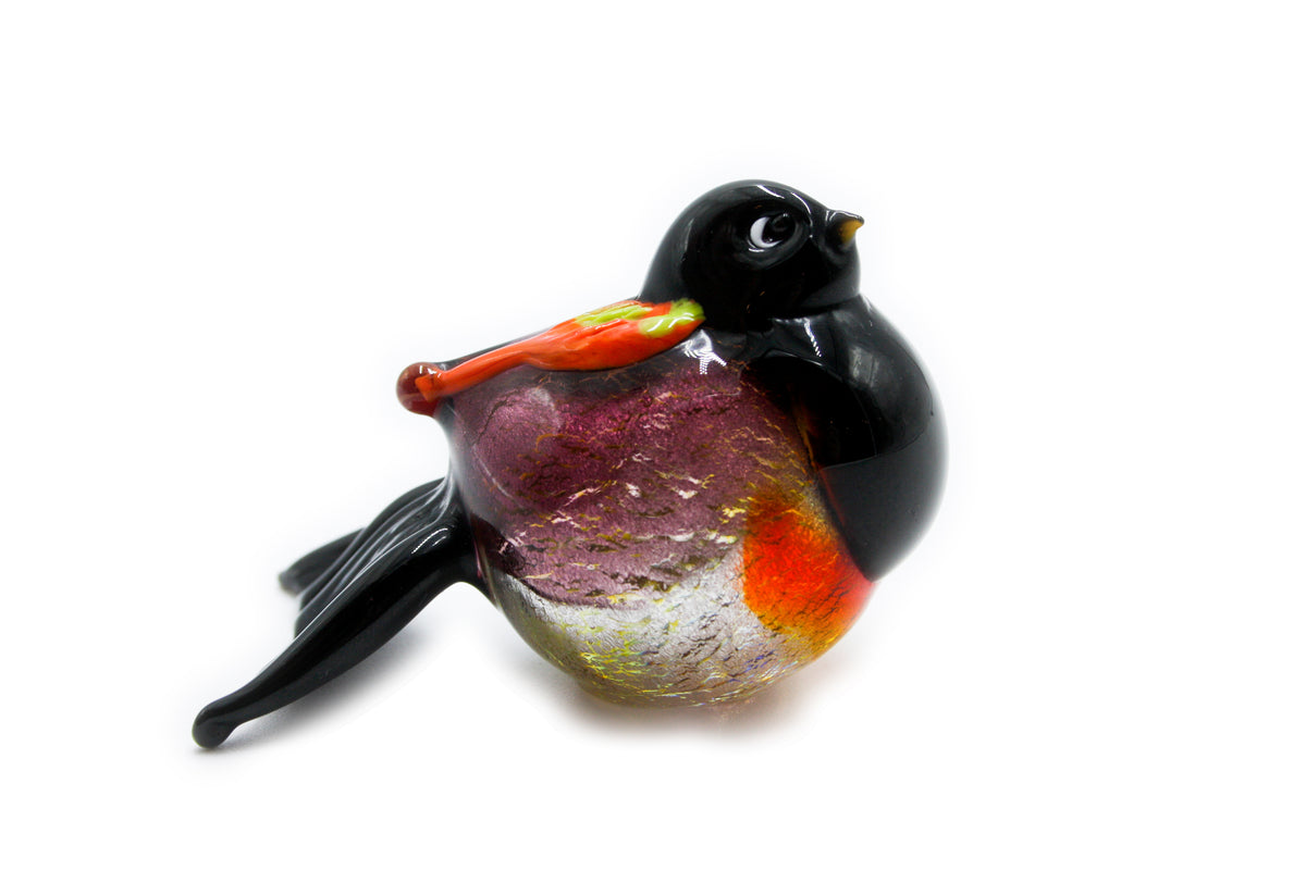 Uccelli colorati piccoli