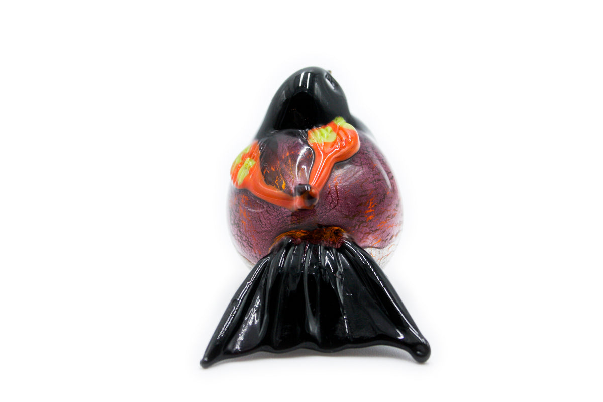 Uccelli colorati grandi