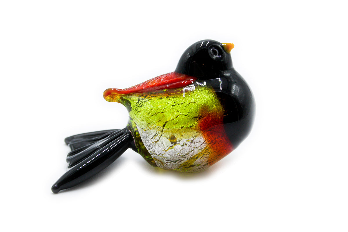 Uccelli colorati piccoli