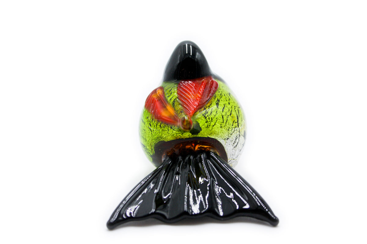 Uccelli colorati piccoli