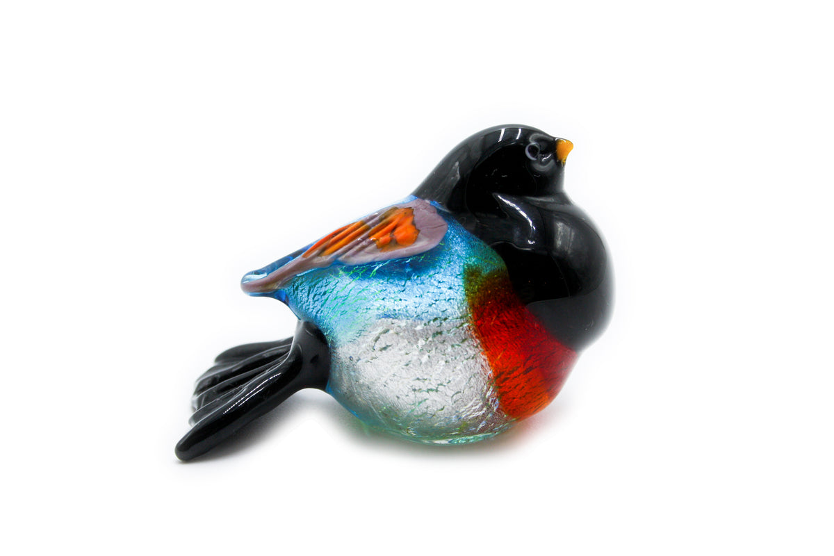 Uccelli colorati grandi
