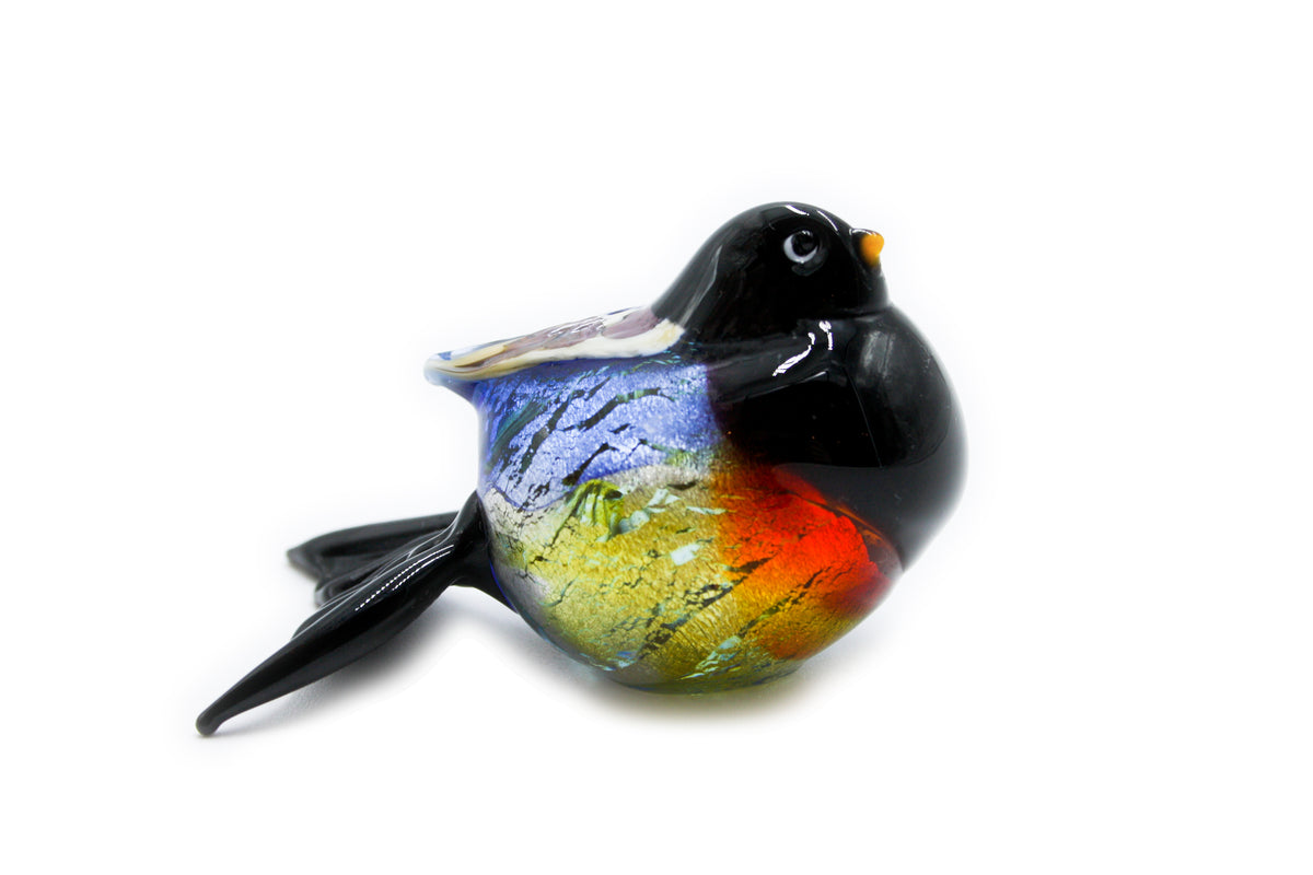 Uccelli colorati grandi