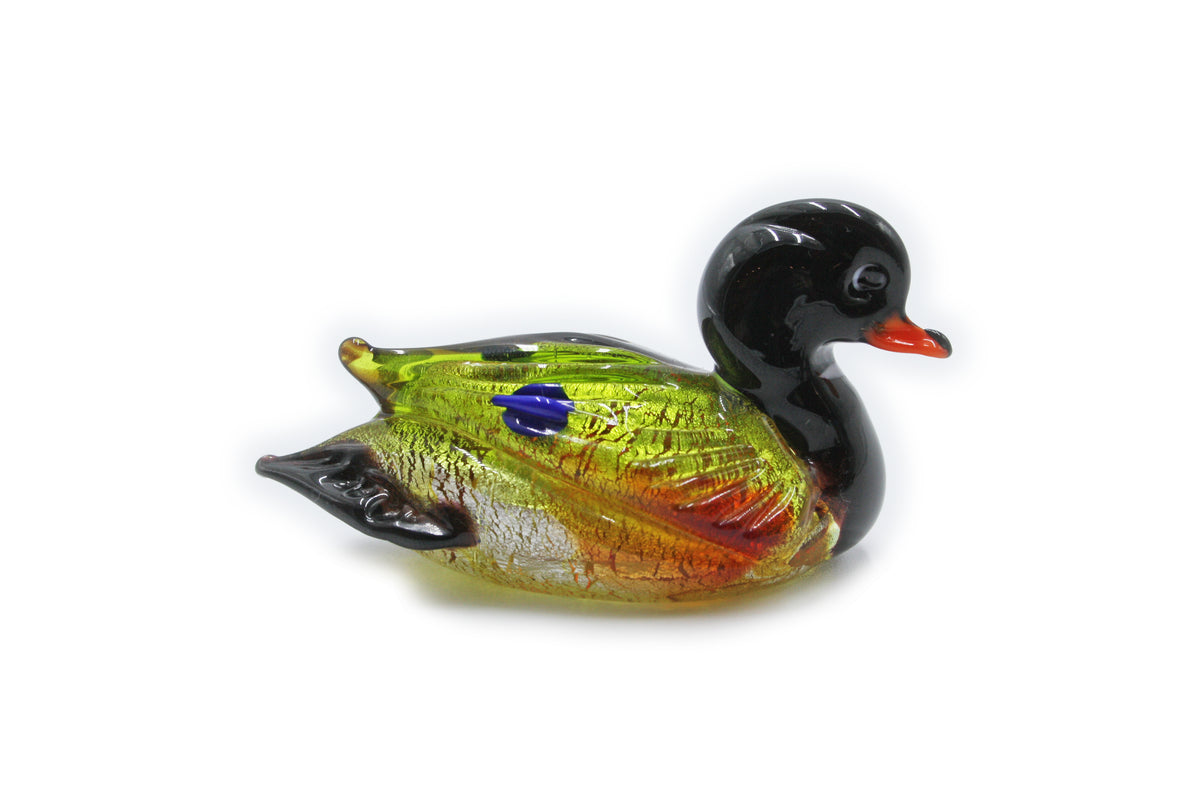 Anatra media multicolore