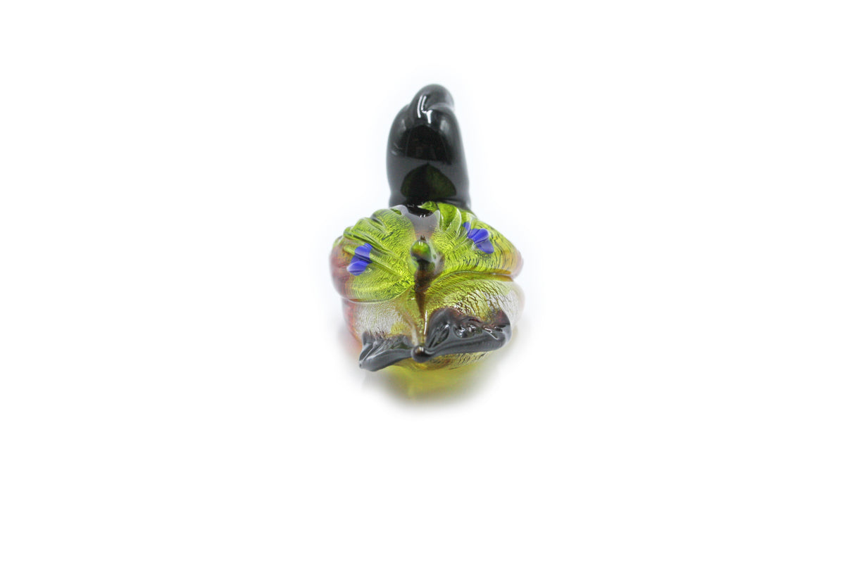 Anatra media multicolore