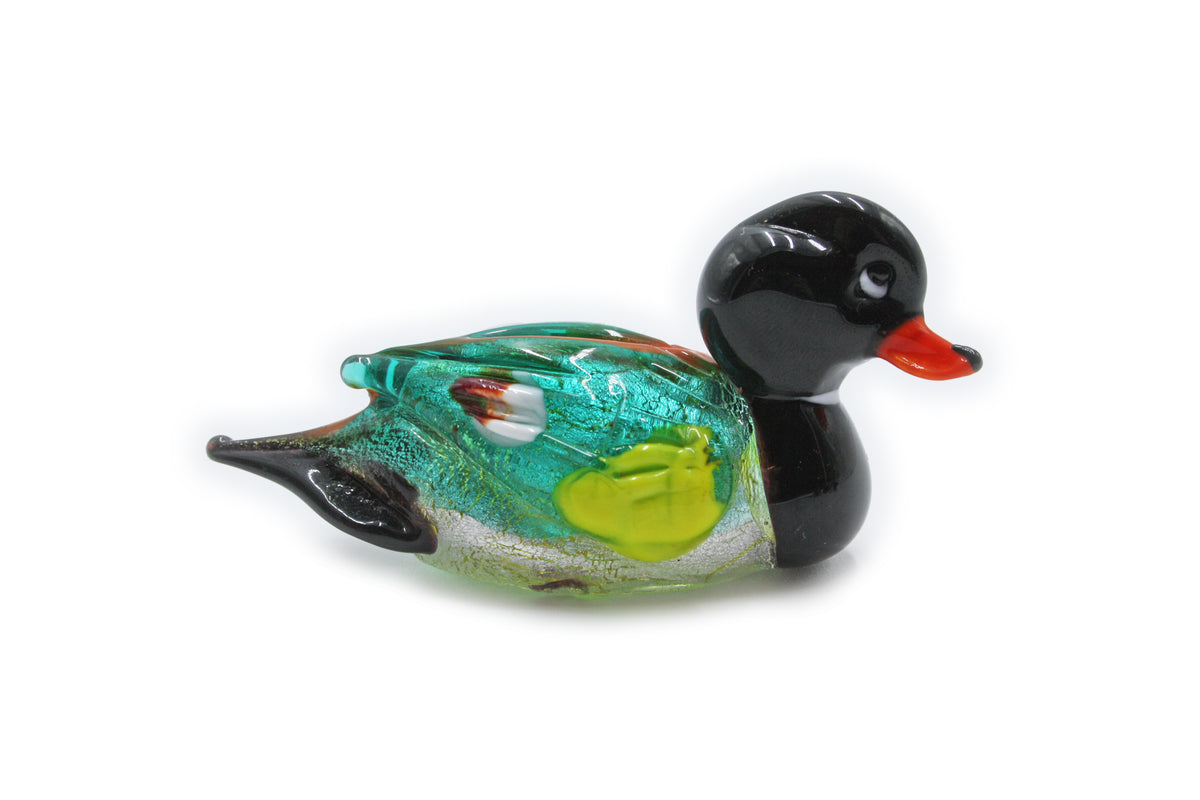Anatra media multicolore