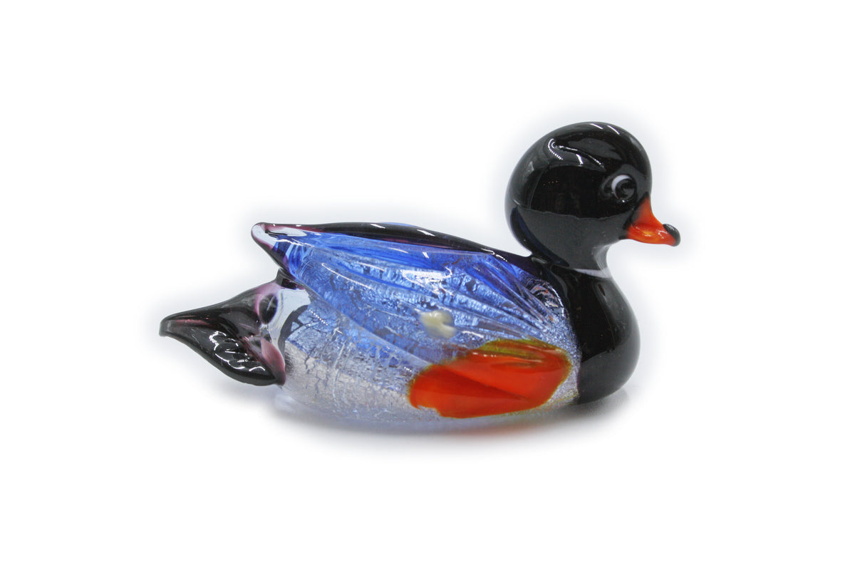Anatra media multicolore