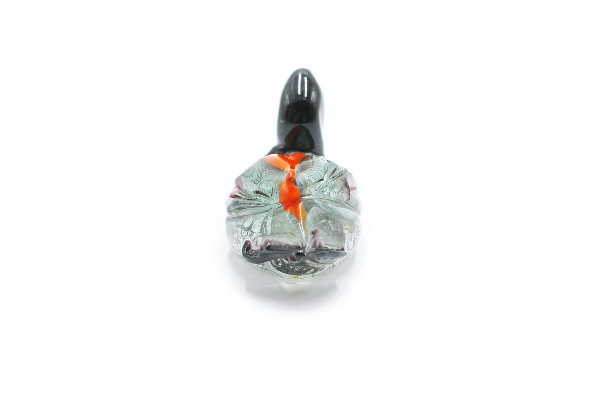 Anatra media multicolore