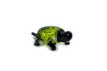 Load image into Gallery viewer, Acid green turtle
