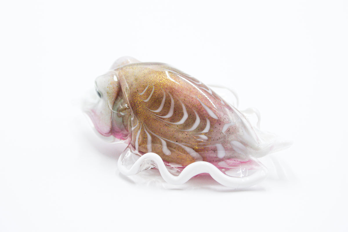 Seppia piccola
