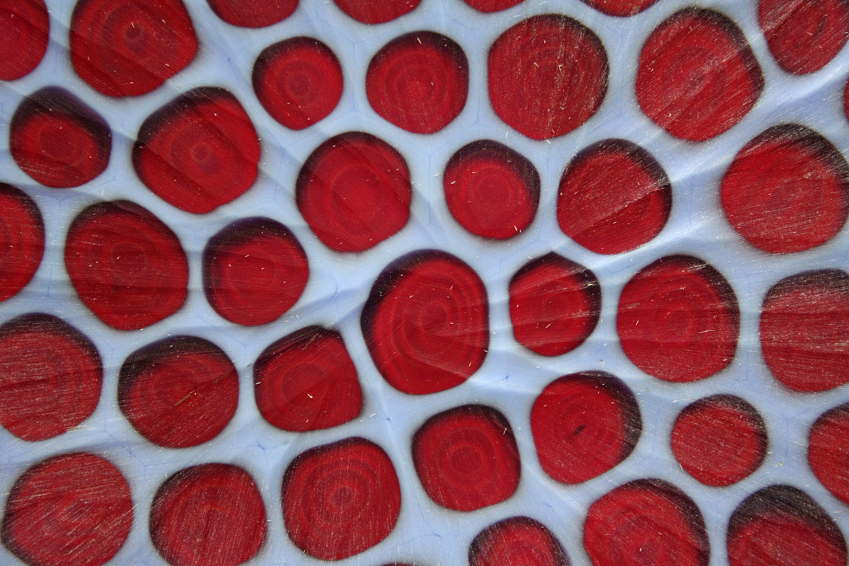Ciotola ovale grande blu e rossa