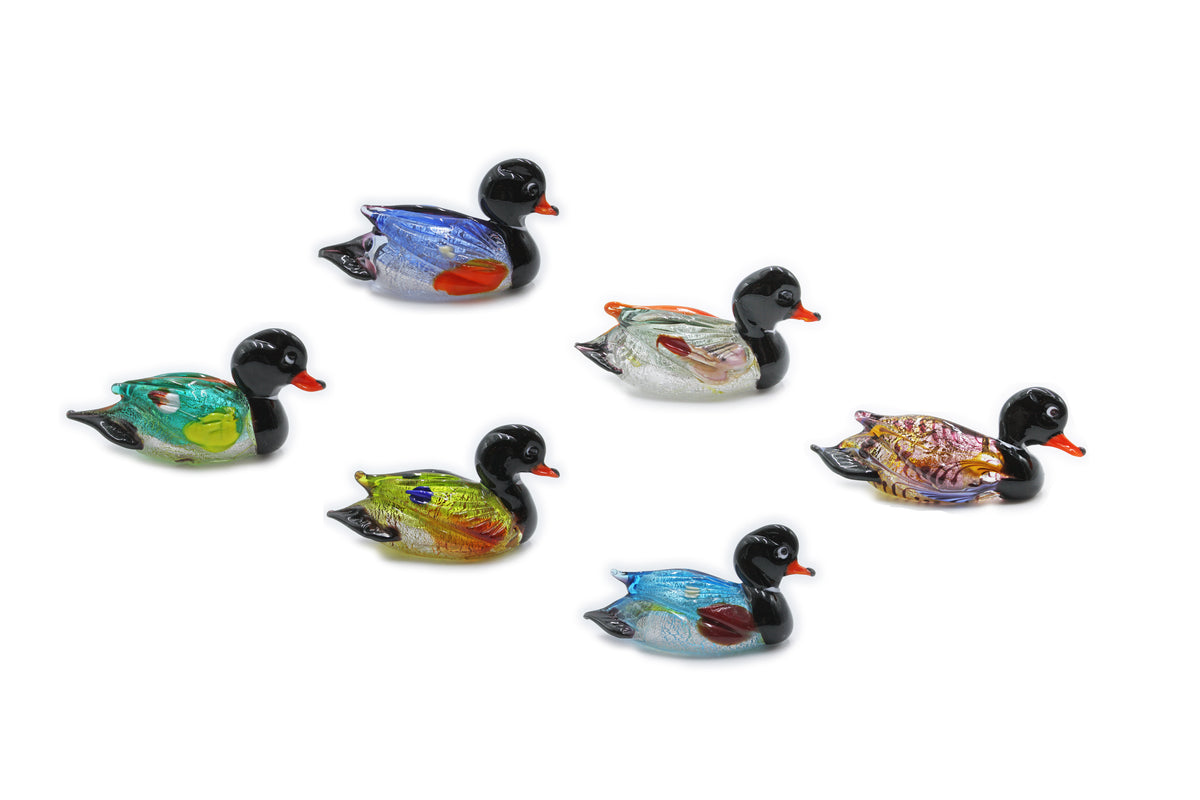 Anatra media multicolore