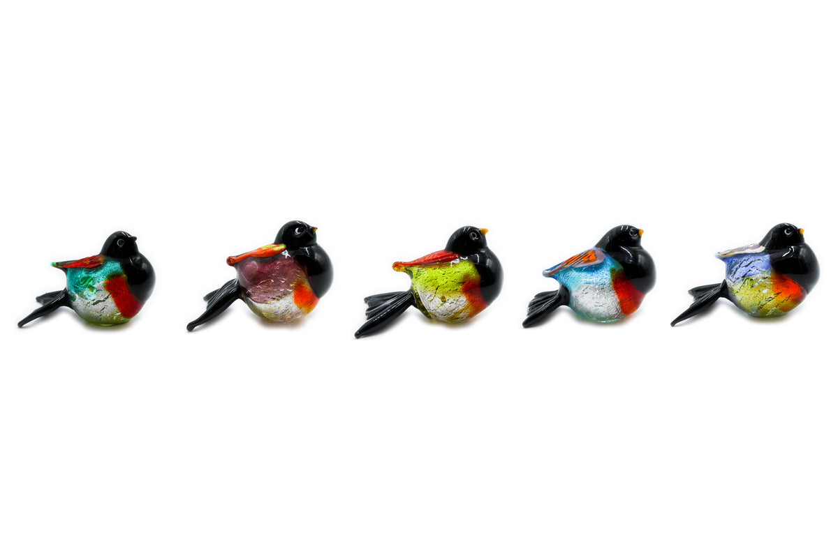 Uccelli colorati piccoli